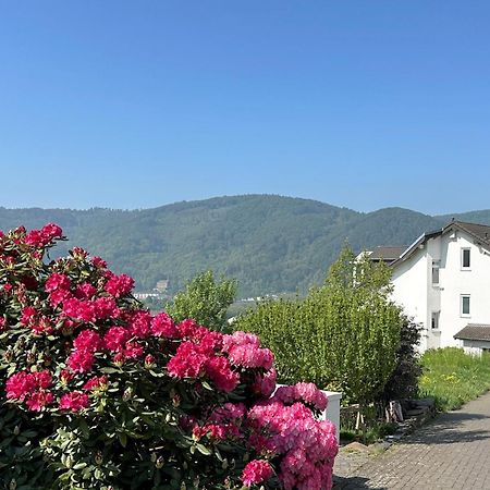 Ferienwohnung Rhein-Panorama Lahnstein Εξωτερικό φωτογραφία